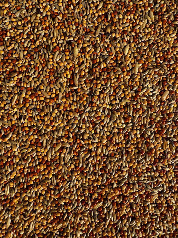 BRAVO! Budgie Seed™ - Haith's UK