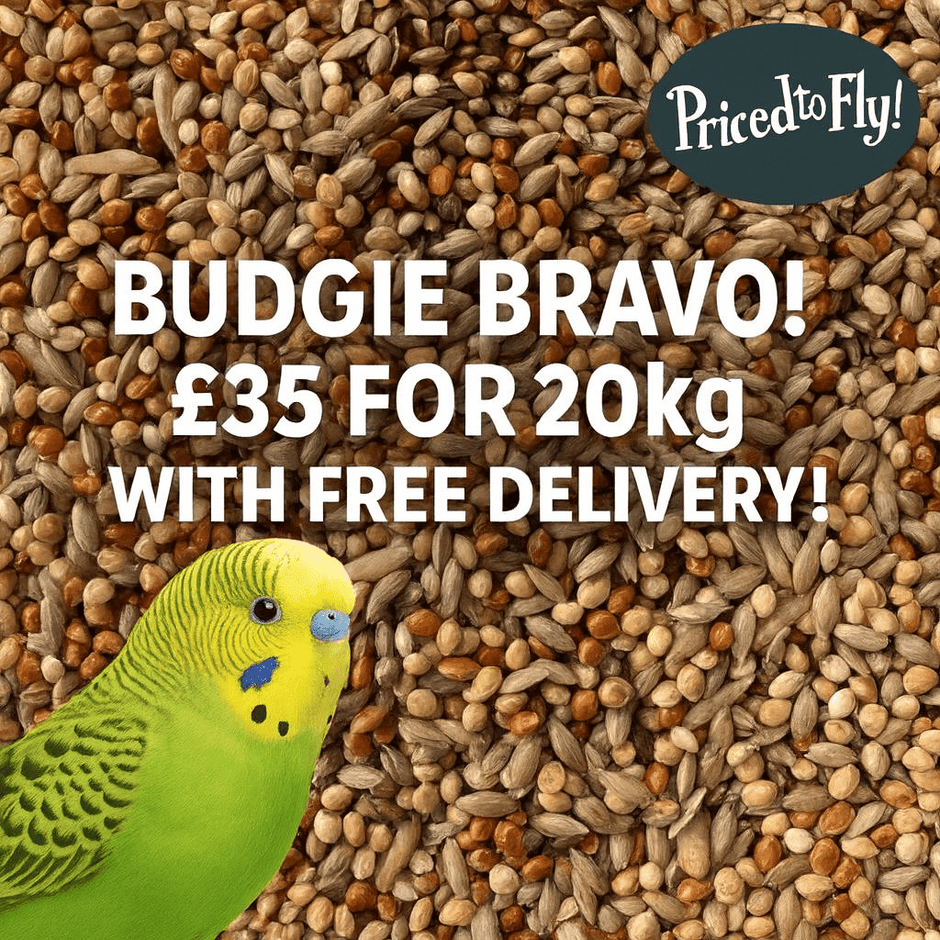 Beautiful view of Complete Budgie Seed Diet