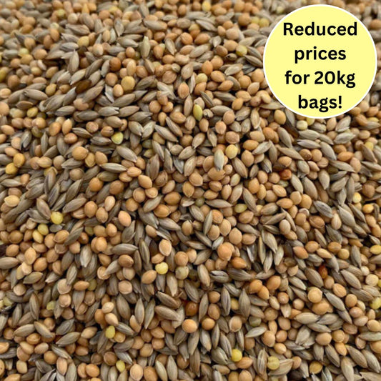 Budgie Breeders 50/50 Seed Mix - Haith's