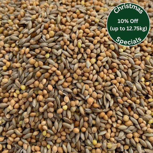 Budgie Breeders 50/50 Seed Mix - Haith's