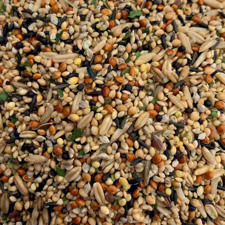 Mix of plain canary, millet seeds and spinach for budgies. 