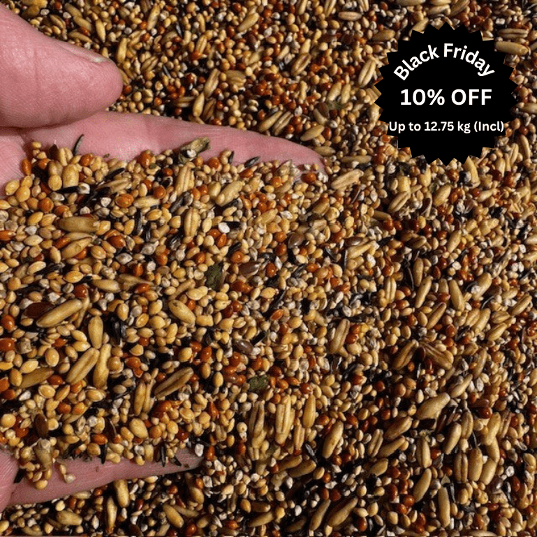 Budgie Tonic Seed™ with Aniseed Oil - Trusted by Experts, Loved by Birds - Haith's UK