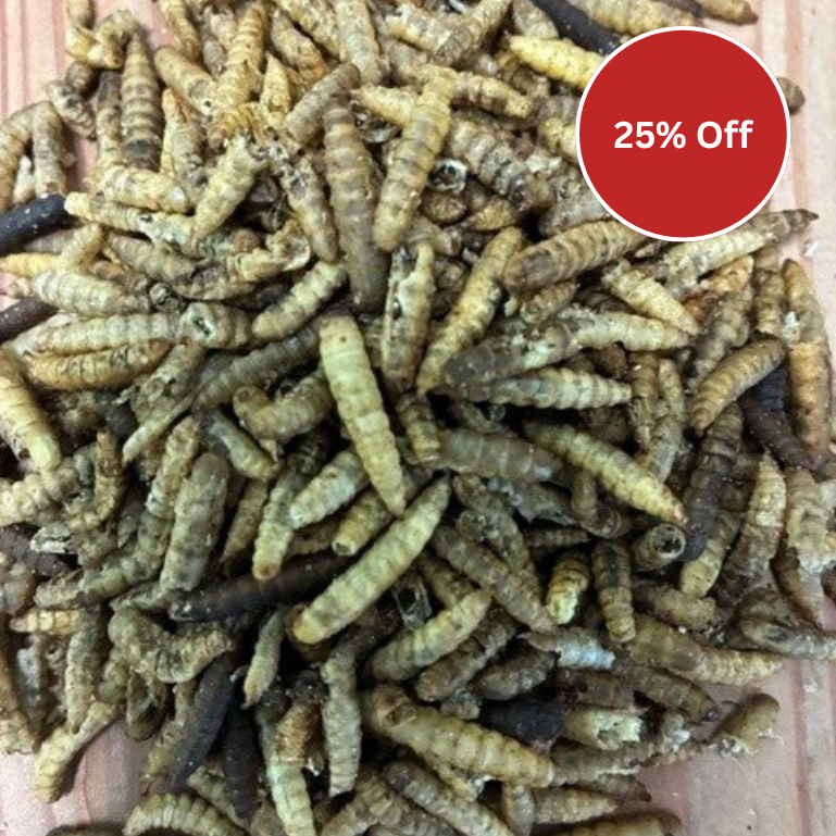 A close-up pile of dried calciworms on a light wood surface, with a red circular sticker overlay reading '25% Off'.