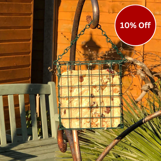 Fat Feasts with Chopped Nuts