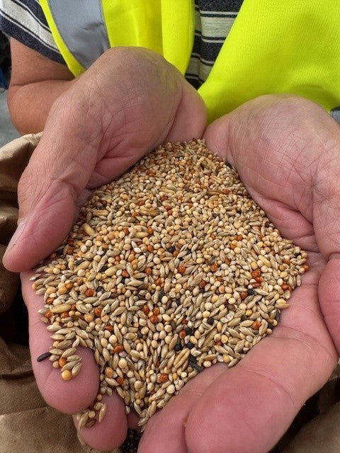 Chris Snell's 66 Budgie Mix - The Champion's Choice! - Haith's UK