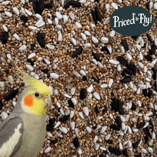 Cockatiel Mix – A Wholesome Daily Diet for Cockatiels and Parakeets - Haith's UK