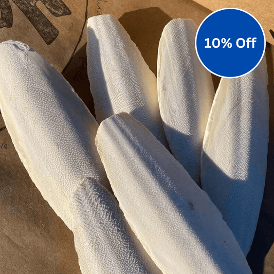 Cuttlefish Bone - Haith's UK