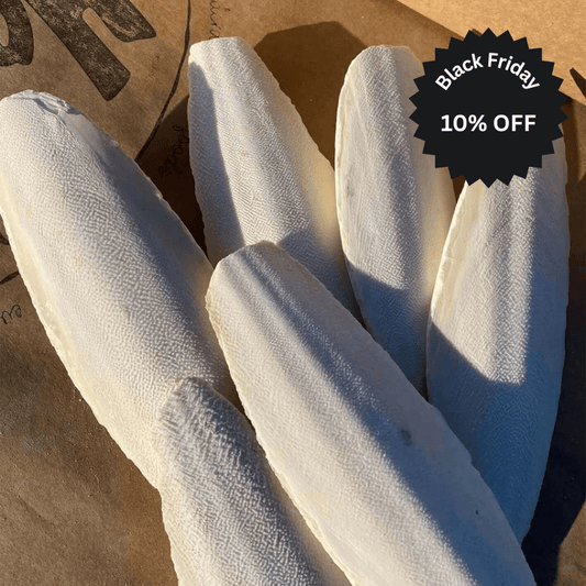 Cuttlefish Bone - Haith's UK