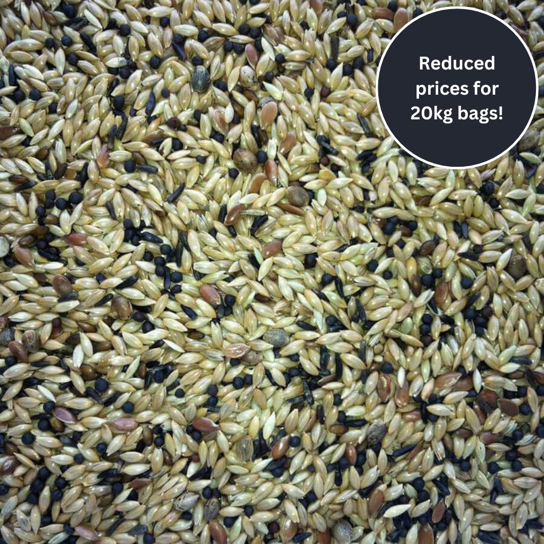 De Luxe Canary Seed™ - Haith's