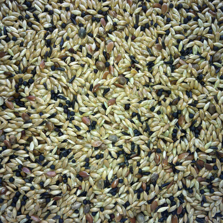 De Luxe Canary Seed™ - Haith's