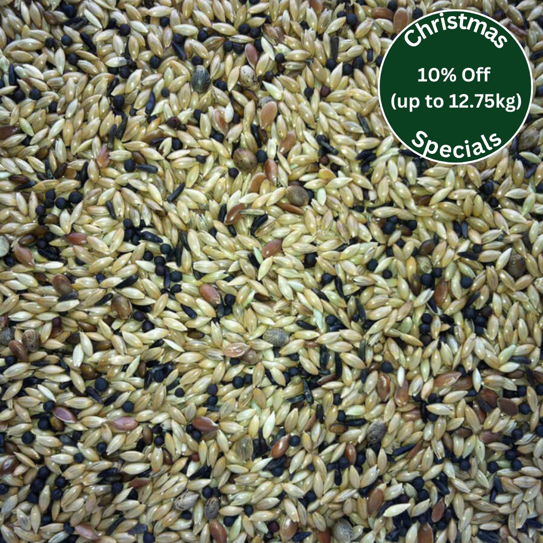 De Luxe Canary Seed™ - Haith's