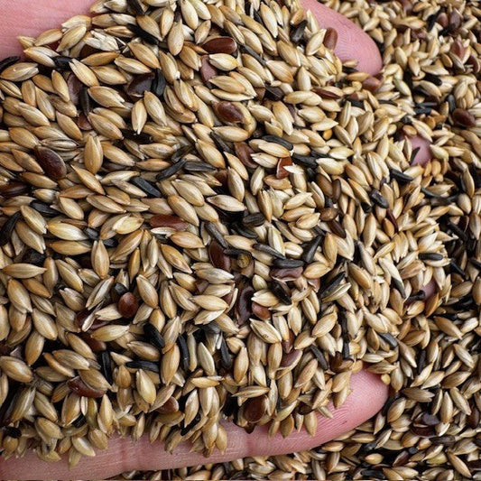 De Luxe Canary Seed Mix – No Rape - Haith's UK