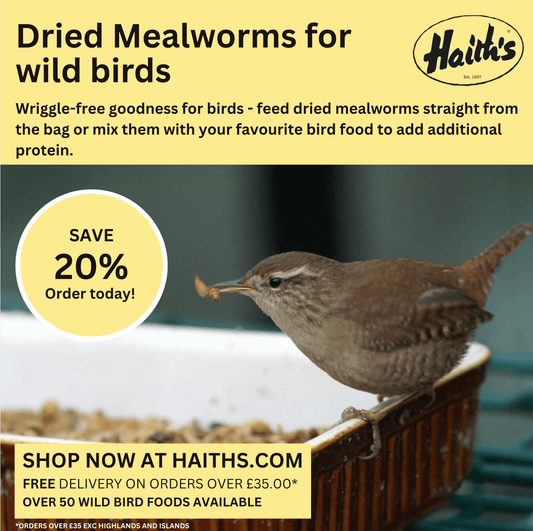 Dried Mealworms for wild birds - Haith's UK