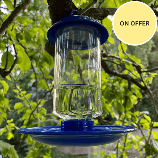 Drink Up! Water Feeder for wild birds - Haith's UK