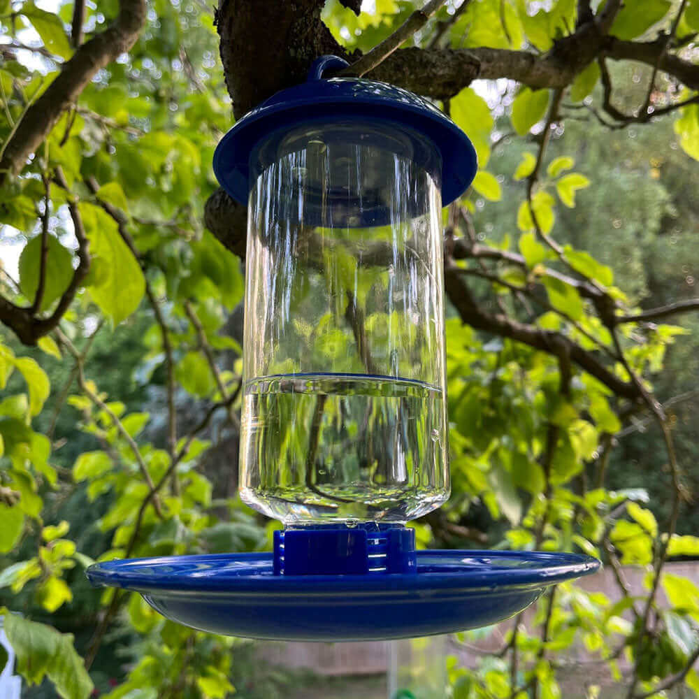 Drink Up! Water Feeder for wild birds - Haith's