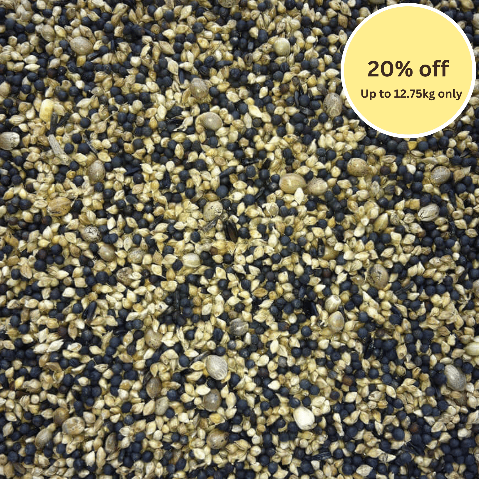 Easisoak Seed™ - sprouting seed for canaries, British birds, hybrids & budgerigars - Haith's UK