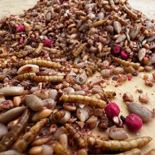 Fat Robin™ – Soft Bird Food with Suet & Mealworms - Haith's UK