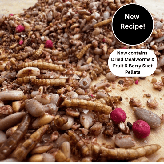 Fat Robin™ – Soft Bird Food with Suet & Mealworms - Haith's UK