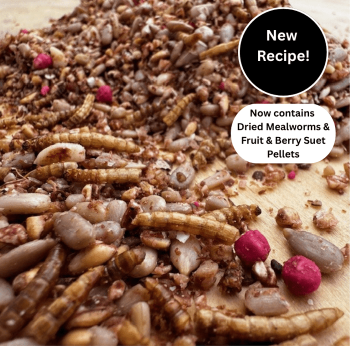 Soft bird food containing suet and mealworms