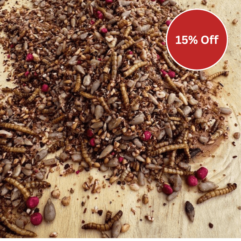 Fat Robin™ – Soft Bird Food with Suet & Mealworms - Haith's UK