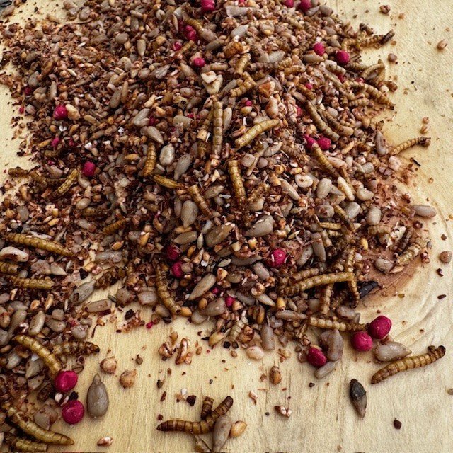 Fat Robin™ – Soft Bird Food with Suet & Mealworms - Haith's UK