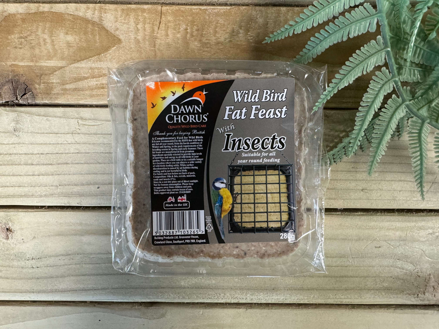 Image of Fat Feasts with Insects on wood bench 