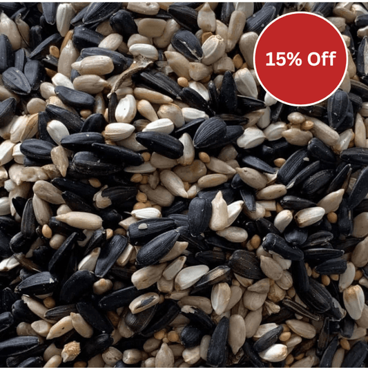 Feeder Seed – A Reliable Wild Bird Mix for Daily Feeding - Haith's UK