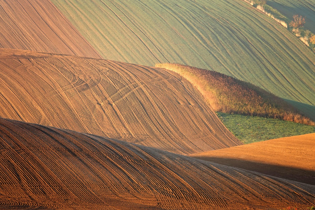 Hilly landscape with plowed fields under a clear sky