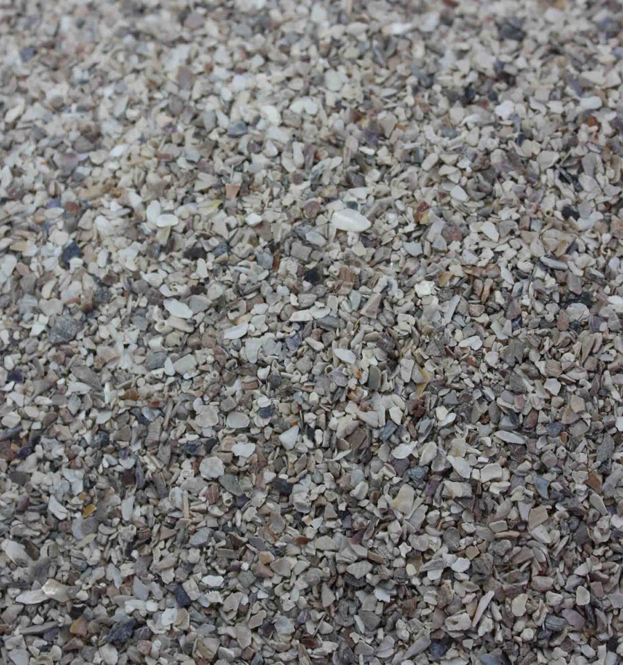 Fine oystershell grit for cage and aviary birds