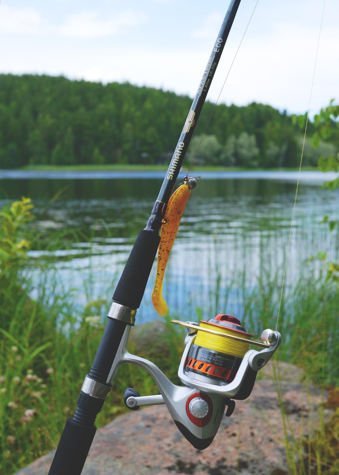 fishing equipment by lake