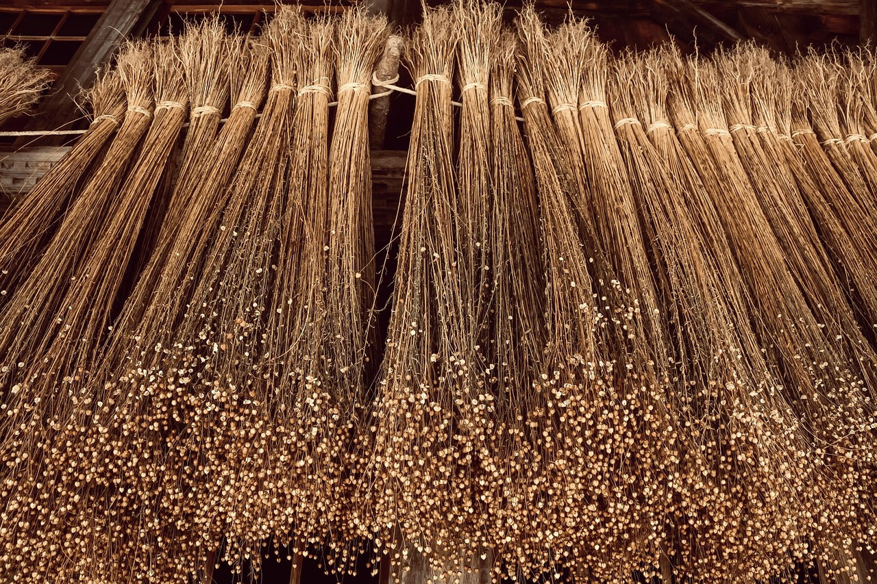 close up of flax seed stems