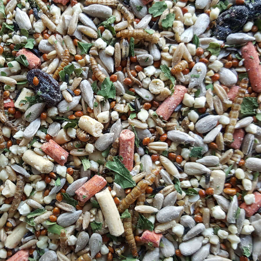 Fledge Mix showing ingredients and coloured seeds