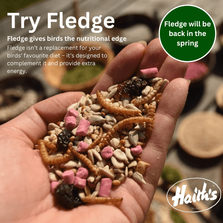 Fledge™ Mix - Optimal Foraging Bird Food - Haith's UK