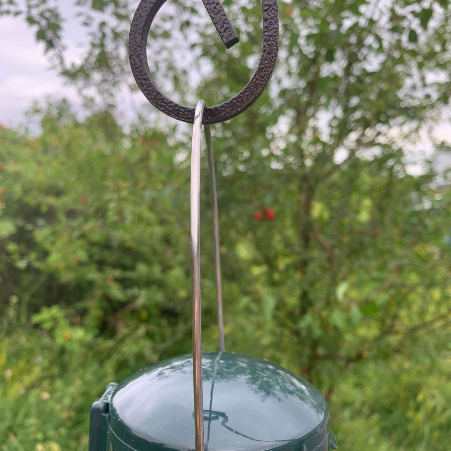 Flick 'n' Click Seed Feeder - Haith's