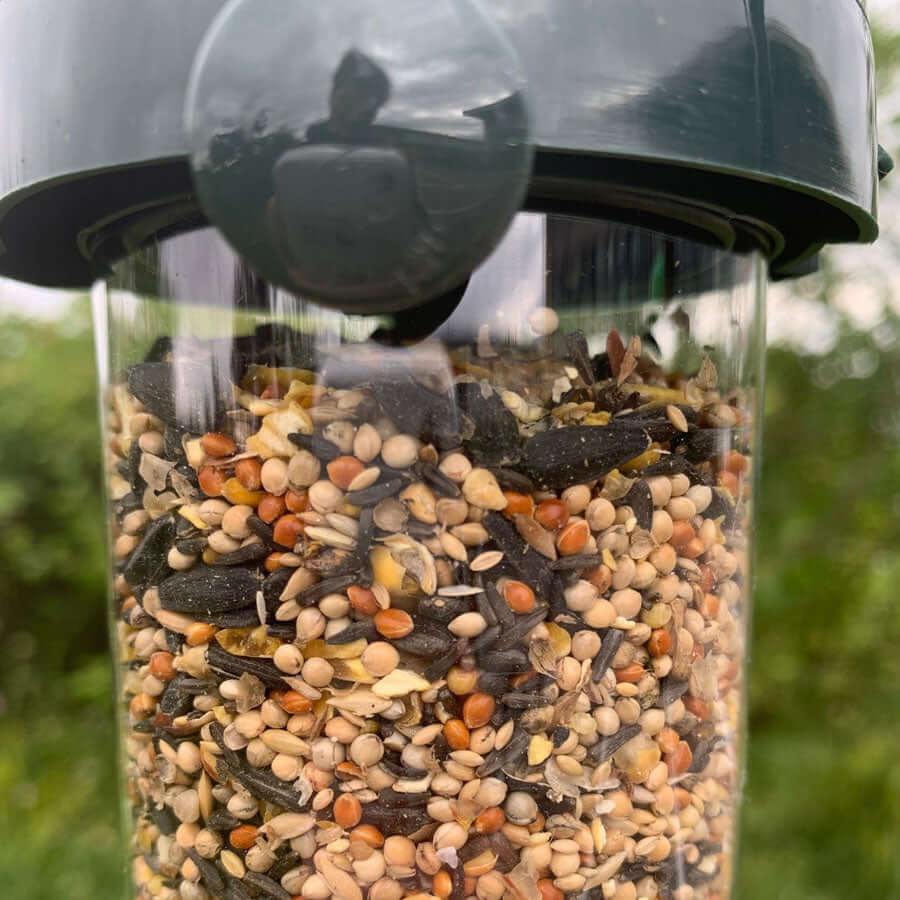 Flick 'n' Click Seed Feeder - Haith's