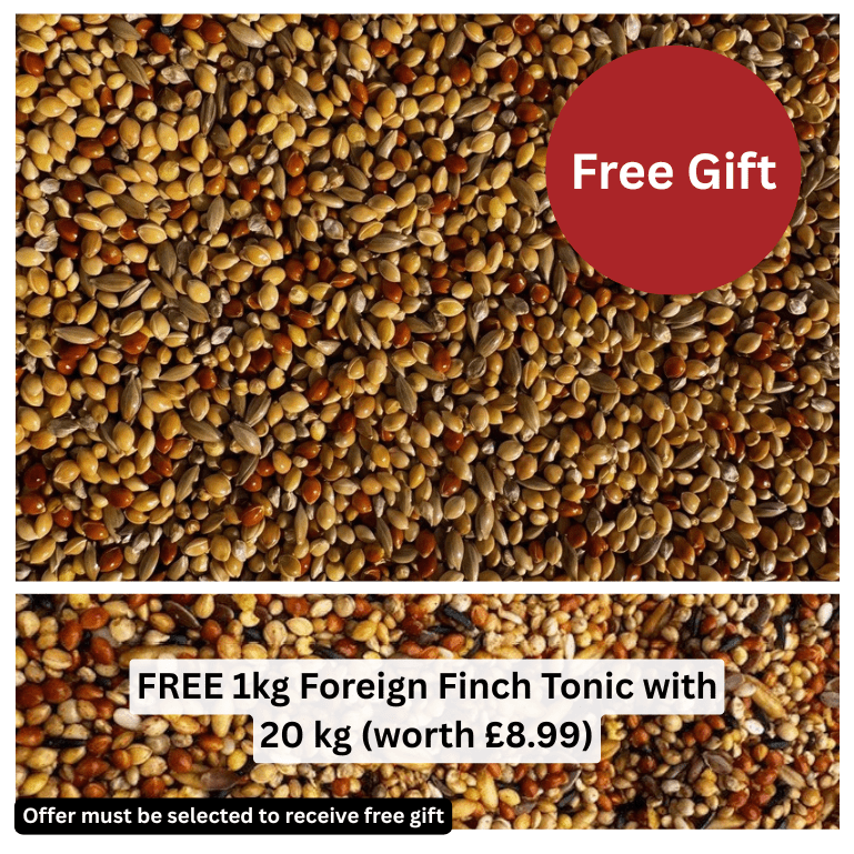 Foreign Finch Mix - Haith's UK