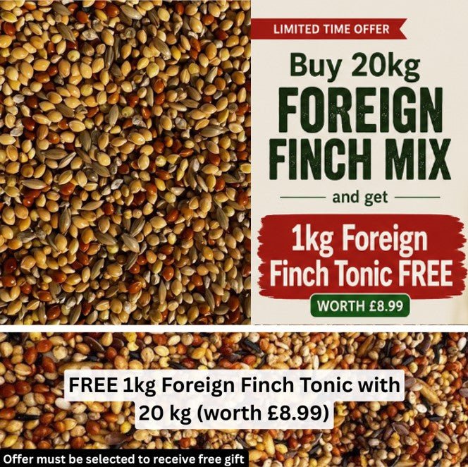 Foreign Finch Mix - Haith's UK