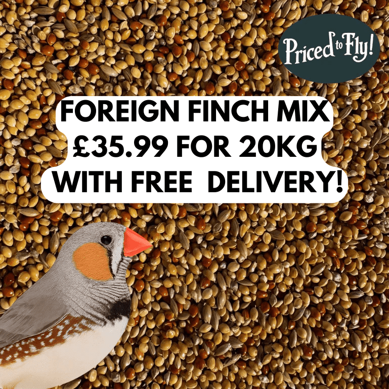 Foreign Finch Mix - Haith's UK