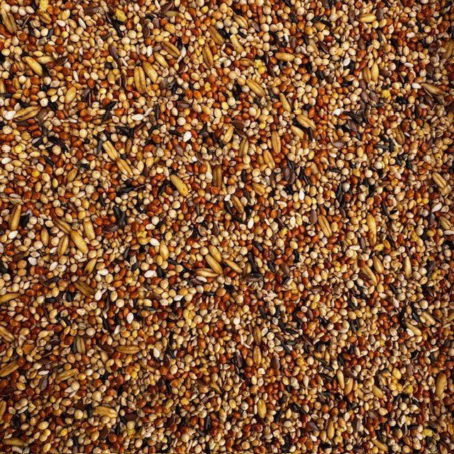 Foreign Finch Tonic Food - Haith's UK