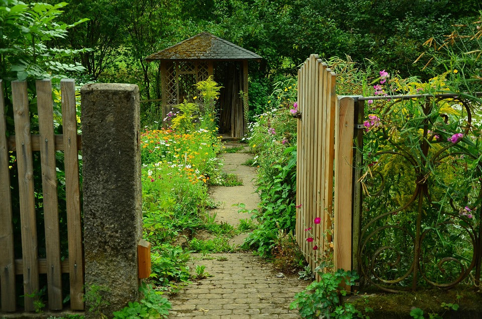 cottage garden in full bloom