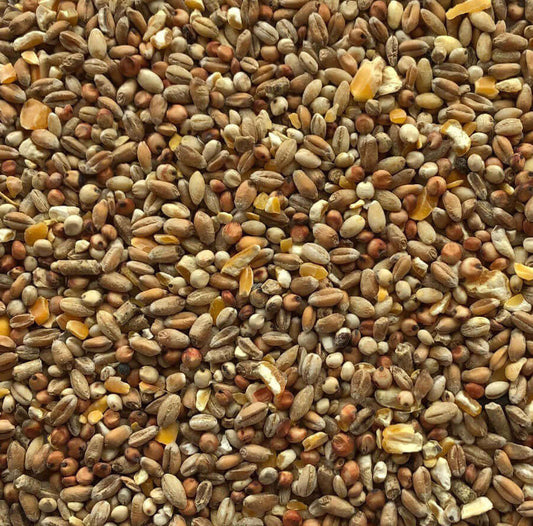 Garden Pheasant Food for domestic birds - Haith's