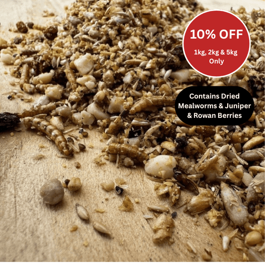 Golden Chorus™ - Advanced Softfood for Specialist Ground Feeders - Haith's UK