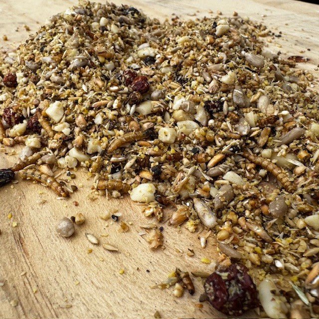 Golden Chorus™ - Advanced Softfood for Specialist Ground Feeders - Haith's UK