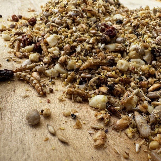 Golden Chorus™ - Advanced Softfood for Specialist Ground Feeders - Haith's UK