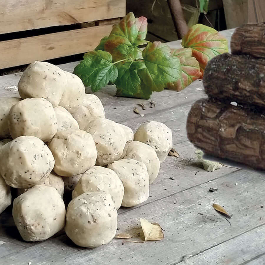 Great British Suet Fat Balls (no nets) - Haith's