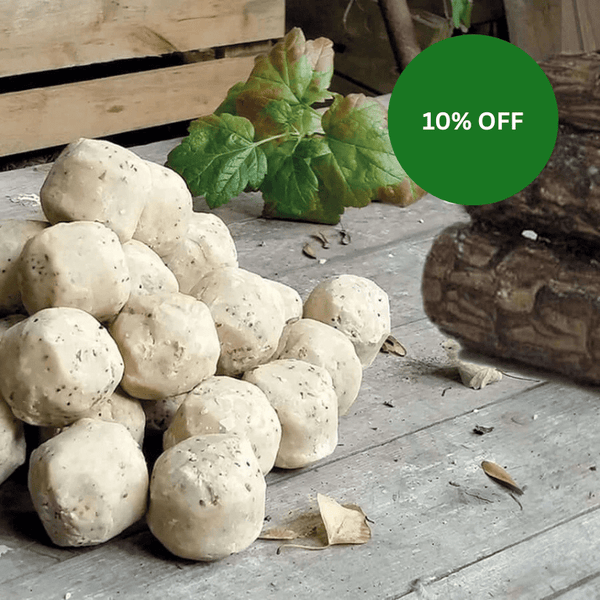 Great British Suet Fat Balls (no nets) - Haith's UK