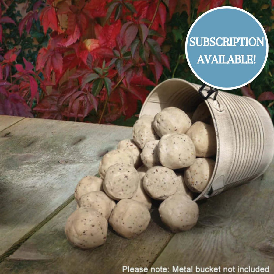 Haith's Great British Suet Fat Balls without nets