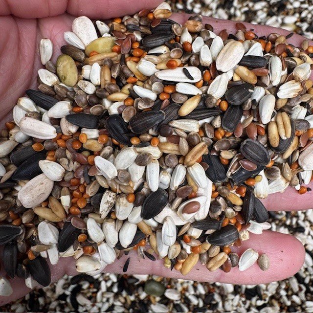 Greenfinch Mix - New - Haith's UK