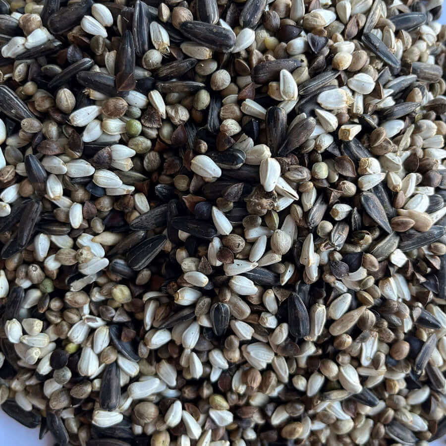 Greenfinch Specialty Seed Mix - Haith's