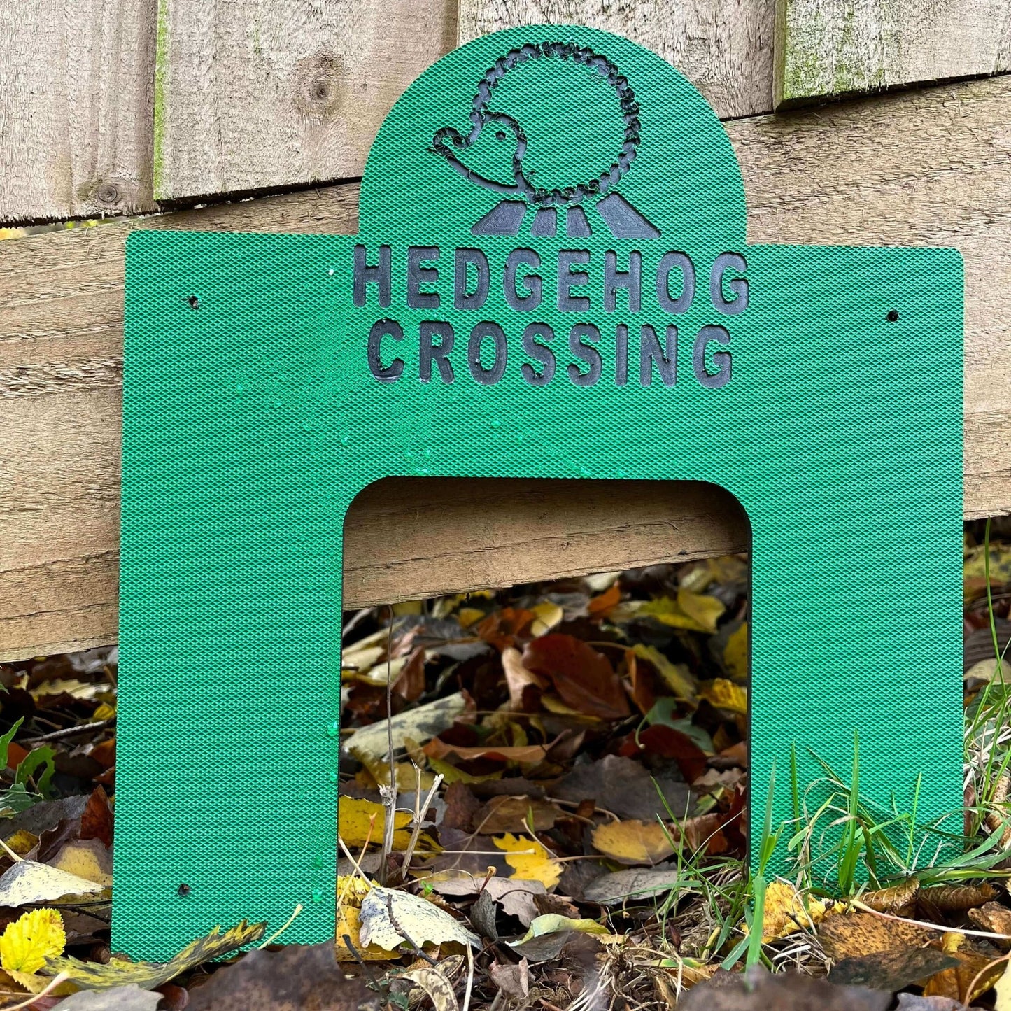 Hedgehog Crossing - Haith's